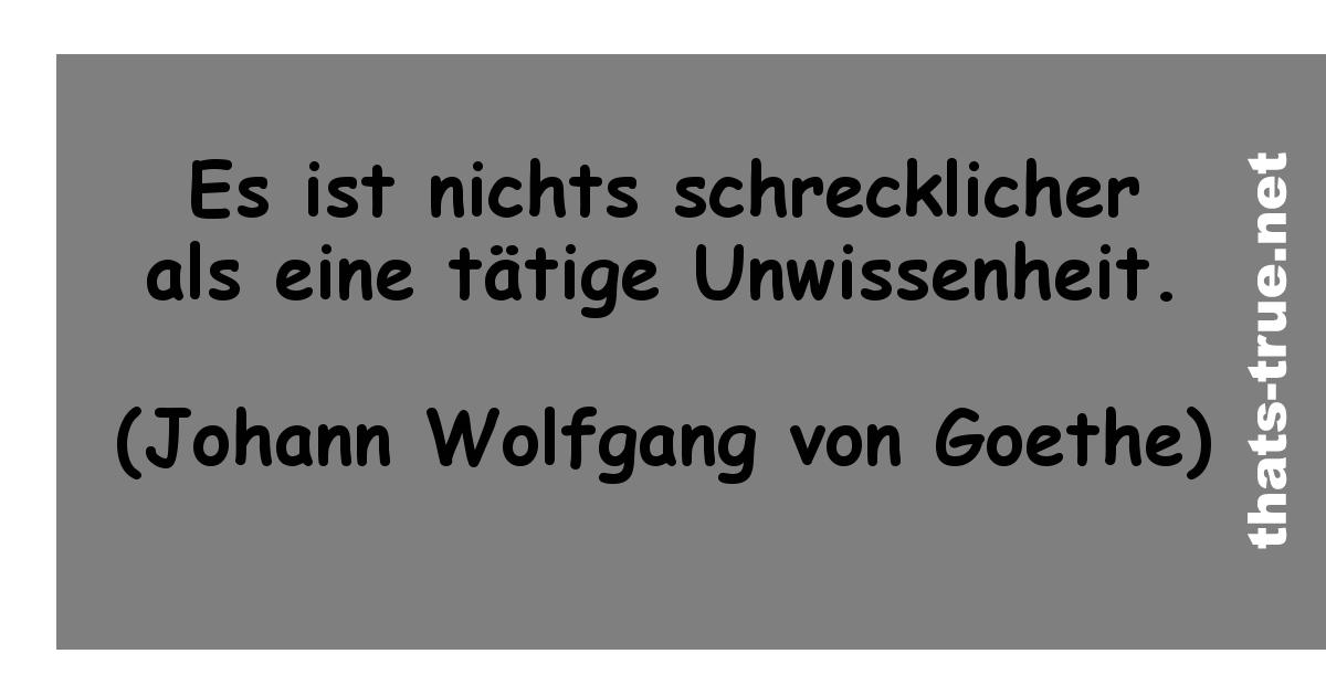 Download Sprueche unwissenheit Desktop Wallpaper Free